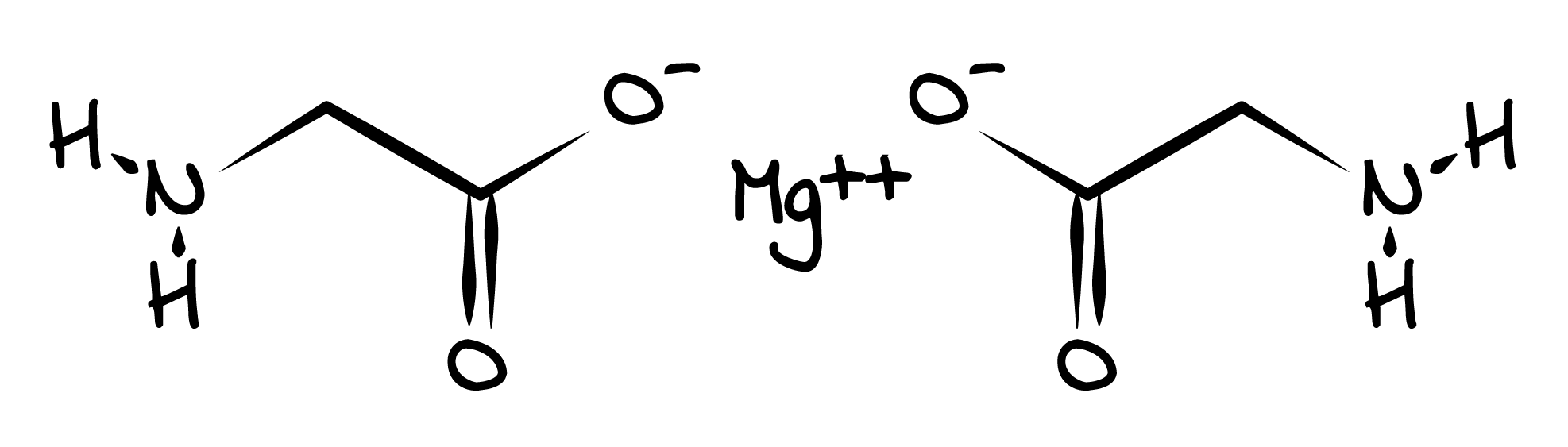 Schéma moléculaire du bisglycinate de magnésium chélaté